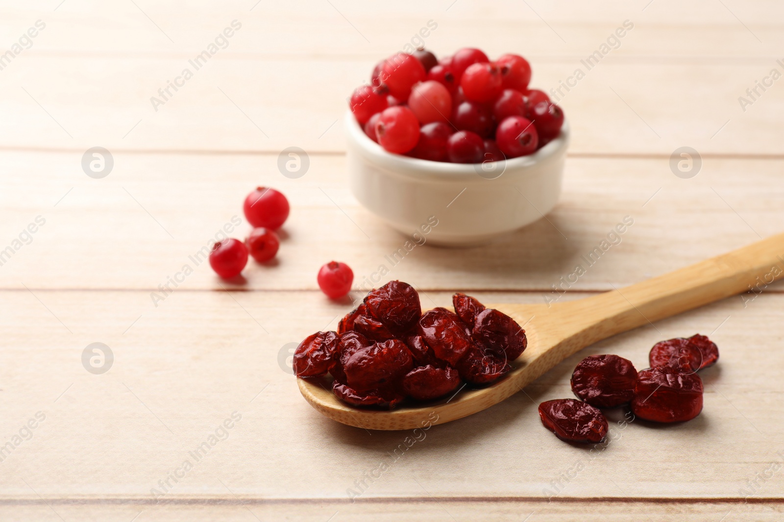 Photo of Spoon with dried cranberries and fresh berries in bowl on wooden table, space for text