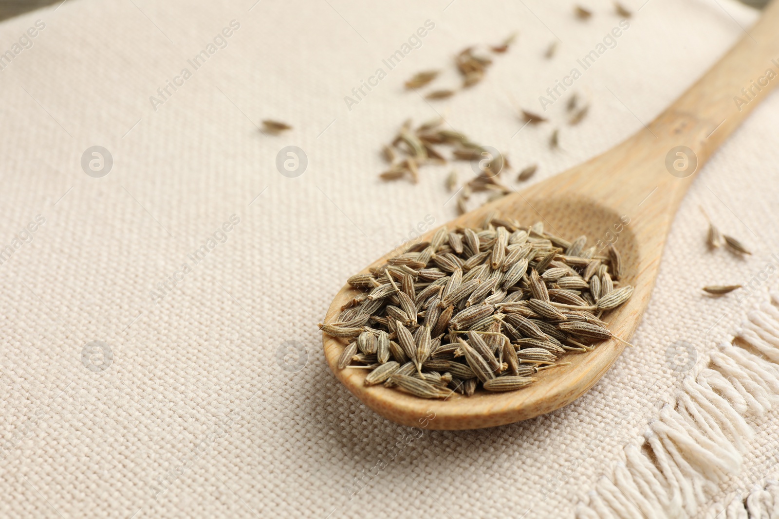 Photo of Spoon with caraway seeds on napkin, closeup. Space for text