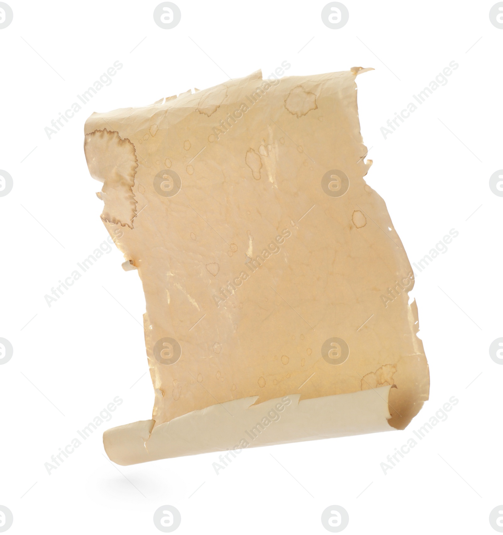 Photo of Sheet of old parchment paper isolated on white. Space for design