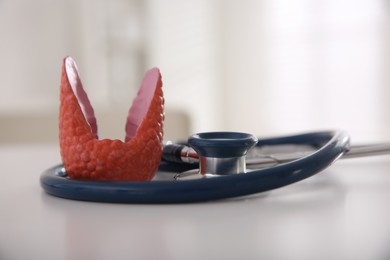 Photo of Thyroid gland model and stethoscope on white table  indoors, closeup