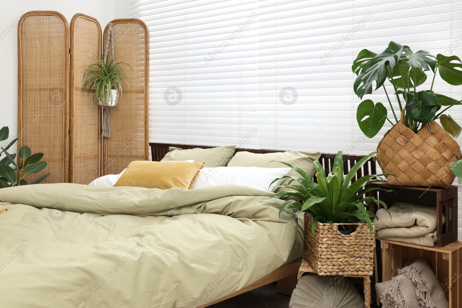 Photo of Comfortable bed and beautiful green houseplants in bedroom