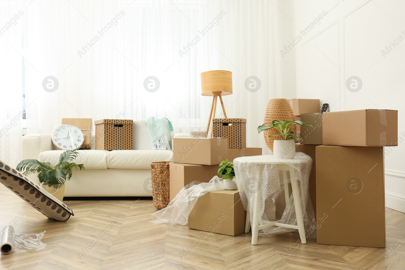 Photo of Cardboard boxes, potted plants and household stuff indoors. Moving day