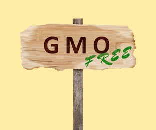 Wooden sign with phrase GMO free on beige background