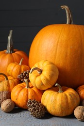 Photo of Thanksgiving day. Composition with pumpkins on grey wooden table, closeup