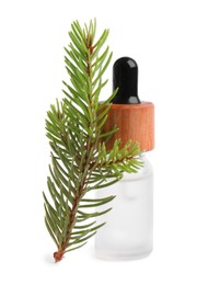Photo of Bottle of pine essential oil and tree branch on white background