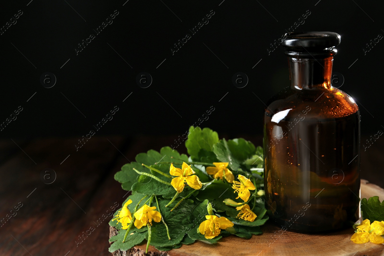 Photo of Bottle of celandine tincture and plant on stump, space for text