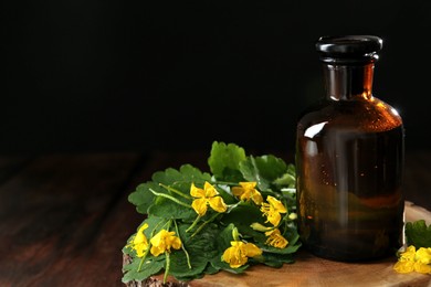 Photo of Bottle of celandine tincture and plant on stump, space for text