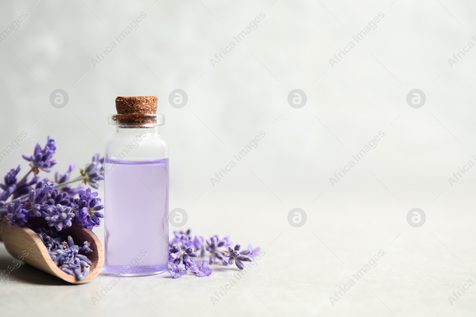 Photo of Bottle of essential oil and lavender flowers on light stone table. Space for text