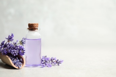 Photo of Bottle of essential oil and lavender flowers on light stone table. Space for text