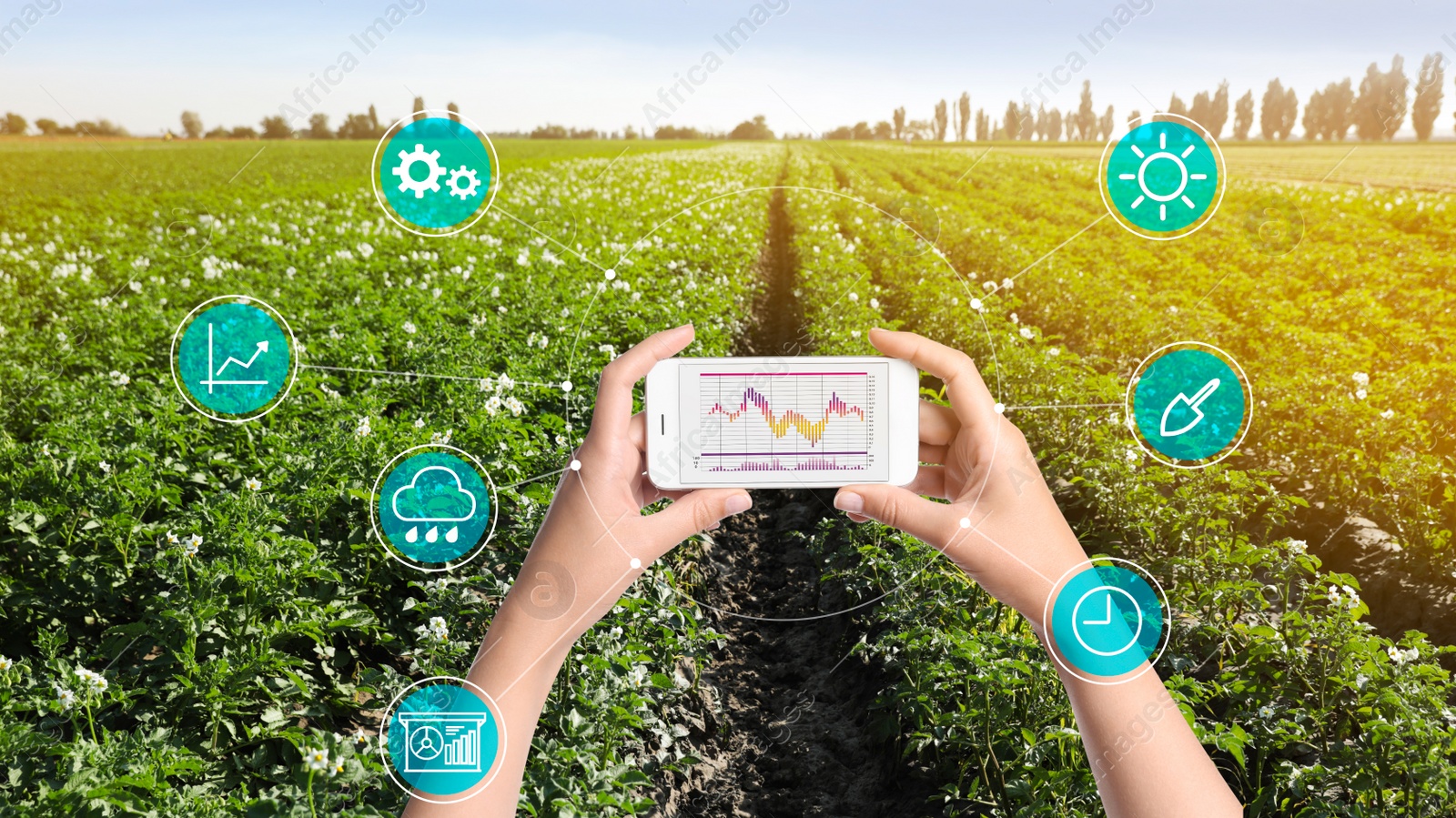 Image of Modern agriculture. Woman with smartphone in field and icons, closeup