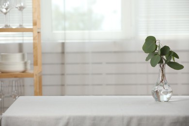 Glass vase with eucalyptus branches on table in kitchen. Space for design