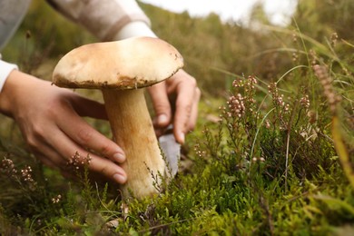 Photo of Man cutting porcini mushroom with knife outdoors, closeup. Space for text