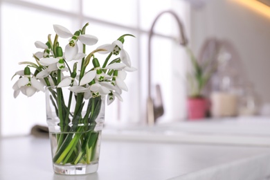 Beautiful snowdrops on countertop in kitchen. Space for text