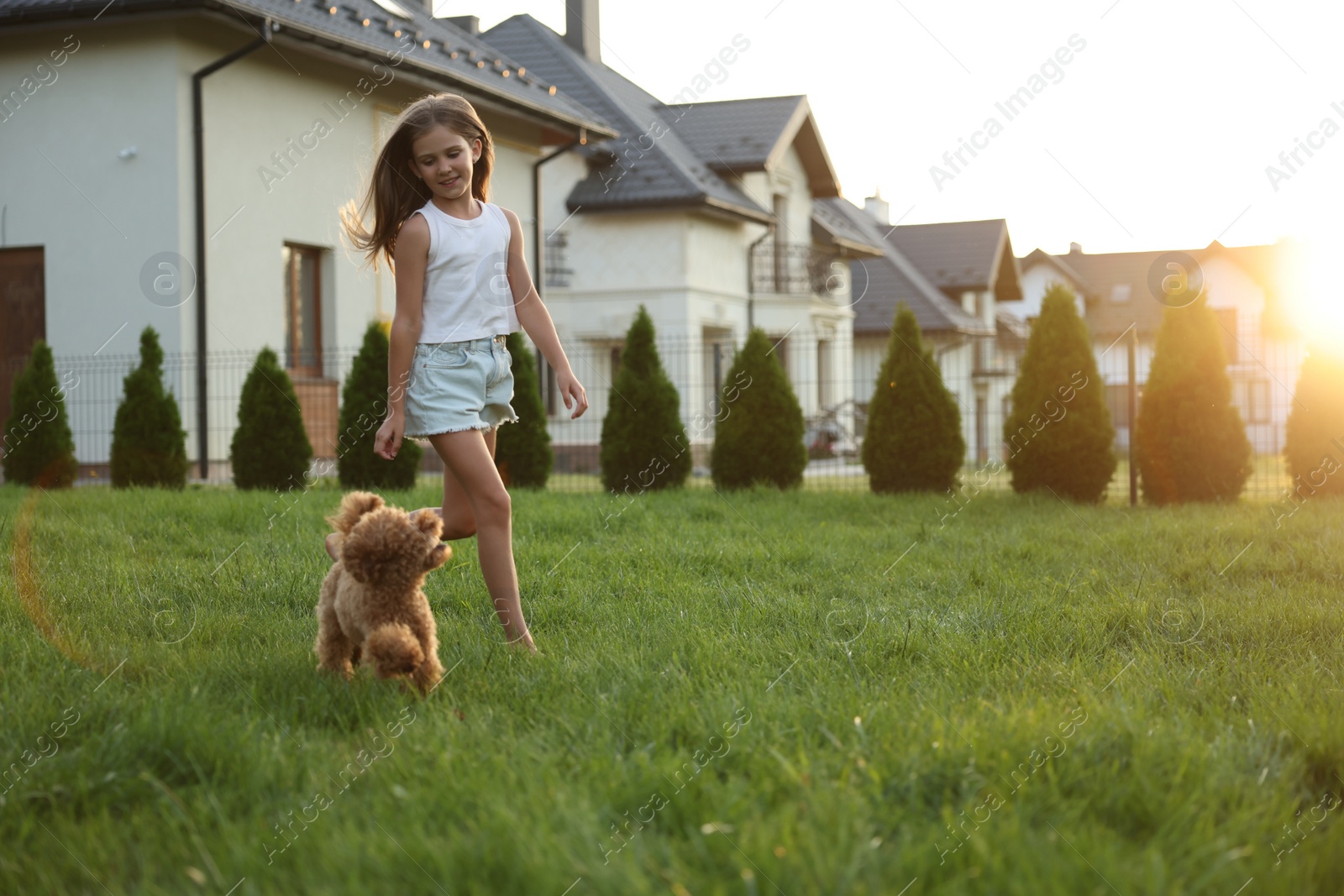 Photo of Beautiful girl walking with cute Maltipoo dog on green lawn at sunset in backyard