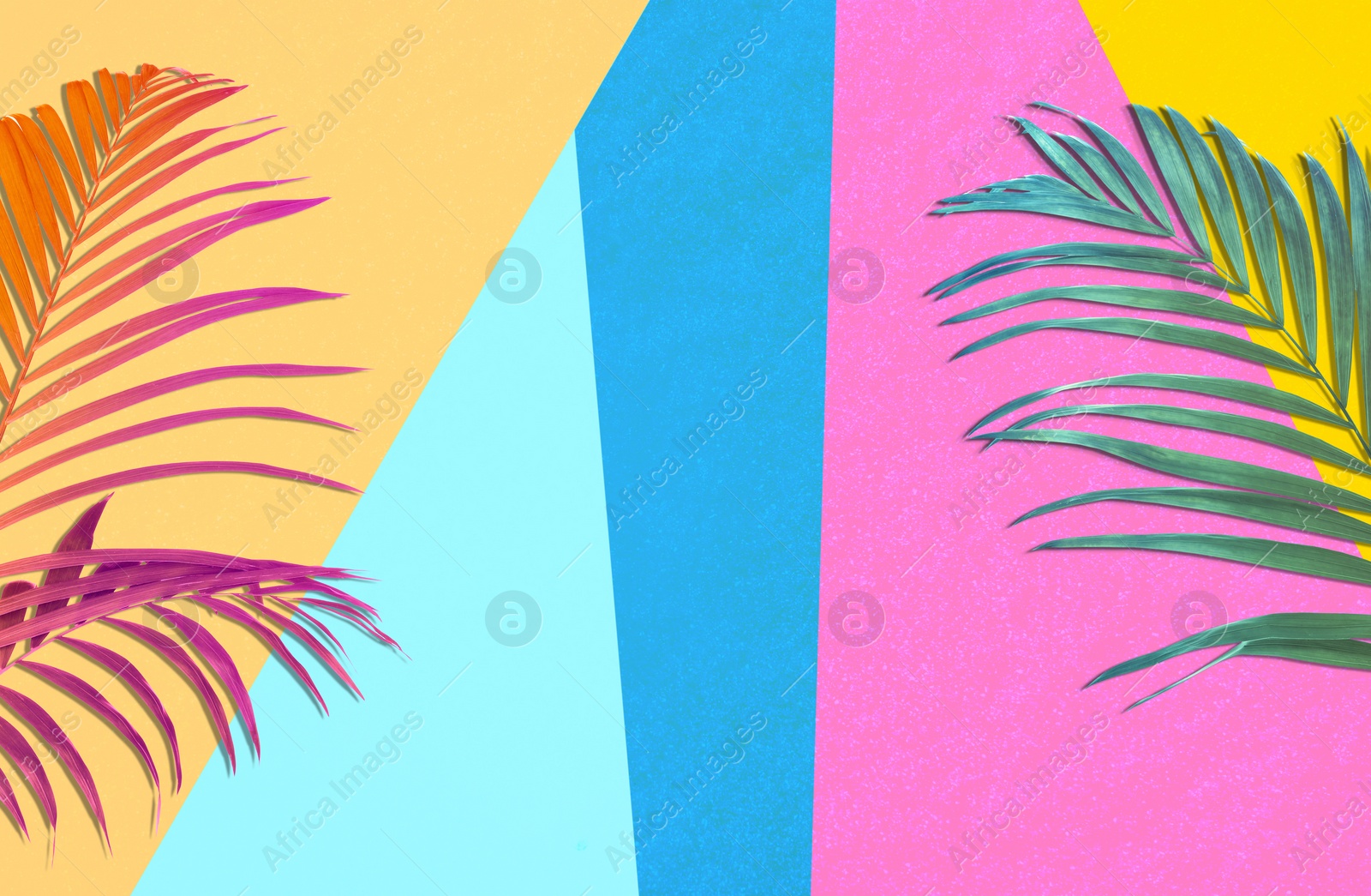 Image of Colorful tropical leaves on bright background, flat lay. Creative design