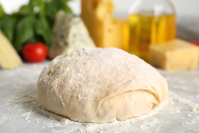 Photo of Dough and fresh ingredients for pizza on light table, closeup