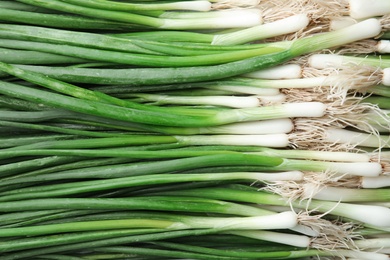 Fresh green onion as background