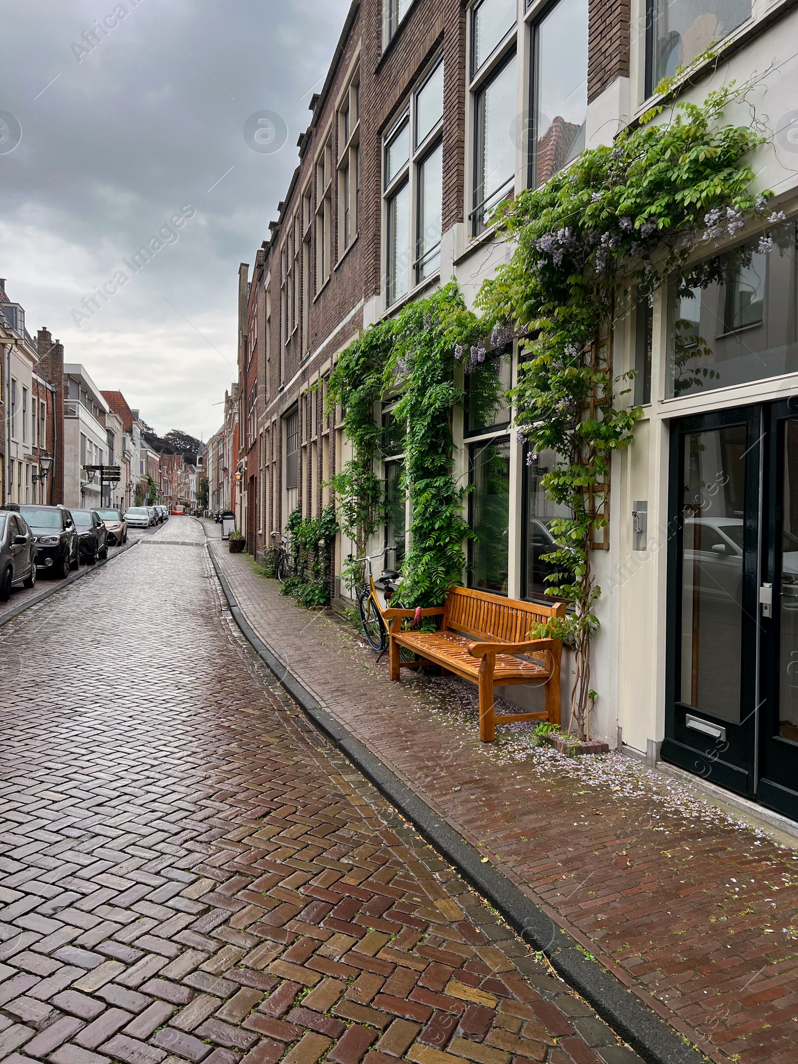 Photo of Picturesque view of city street with beautiful buildings and wooden bench