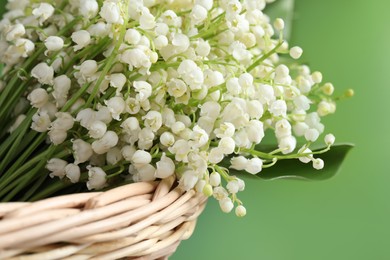 Wicker basket with beautiful lily of the valley flowers on blurred green background, closeup