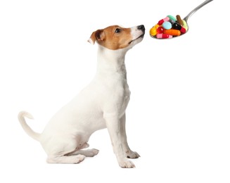 Image of Cute Jack Russel Terrier and spoon full of different pills on white background. Vitamins for animal 