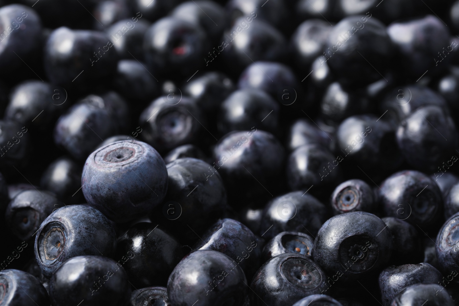 Photo of Many delicious ripe bilberries as background, closeup