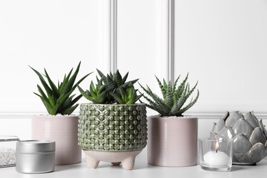 Photo of Beautiful Haworthia and Aloe in pots on white table. Different house plants