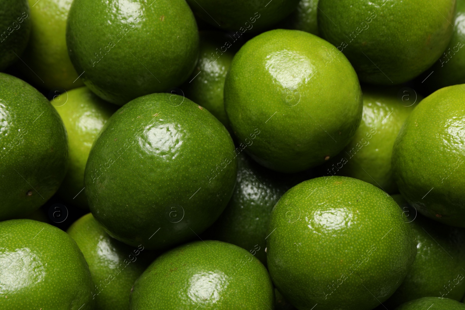 Photo of Many fresh ripe limes as background, top view