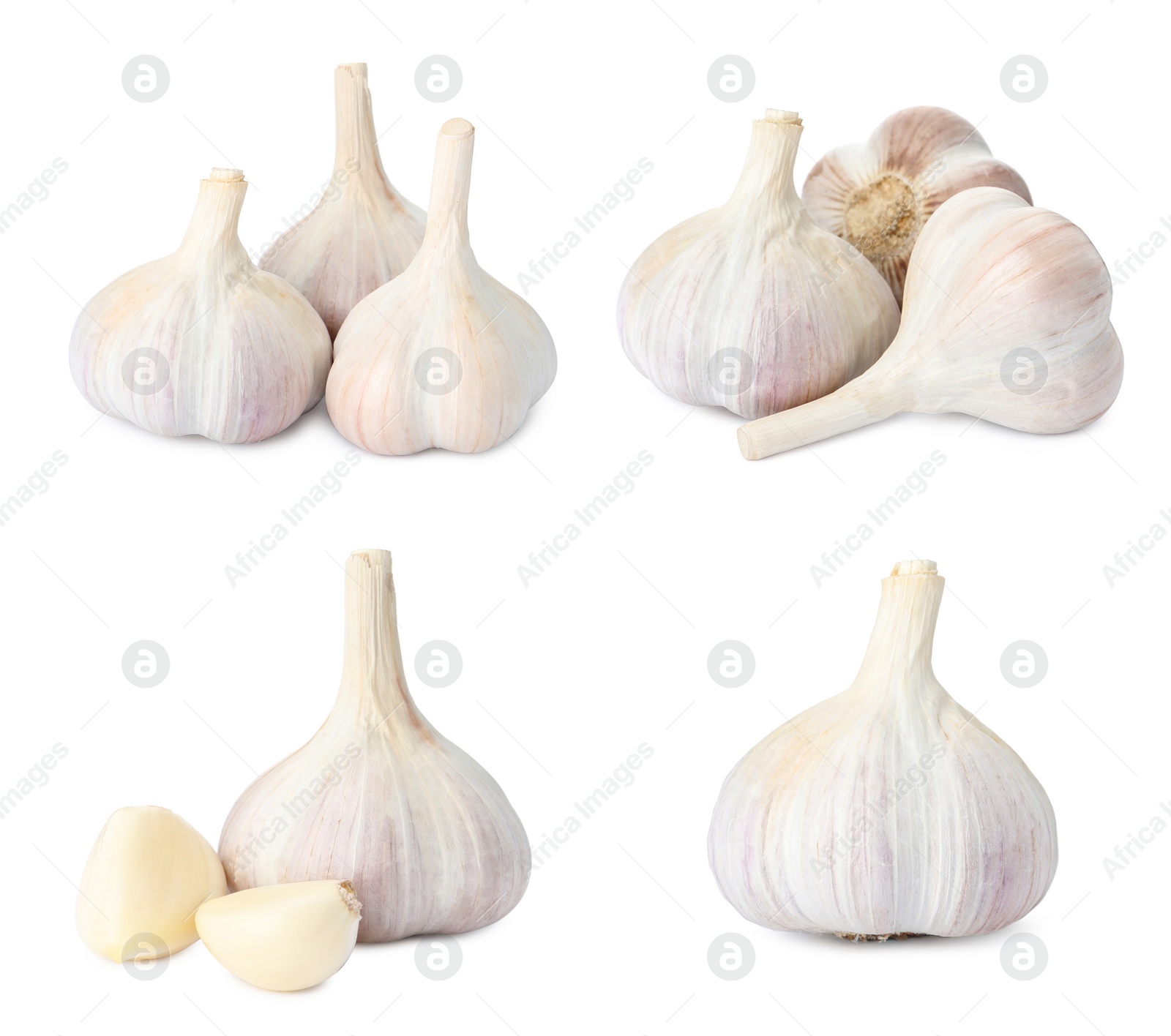 Image of Set with garlic bulbs and cloves on white background