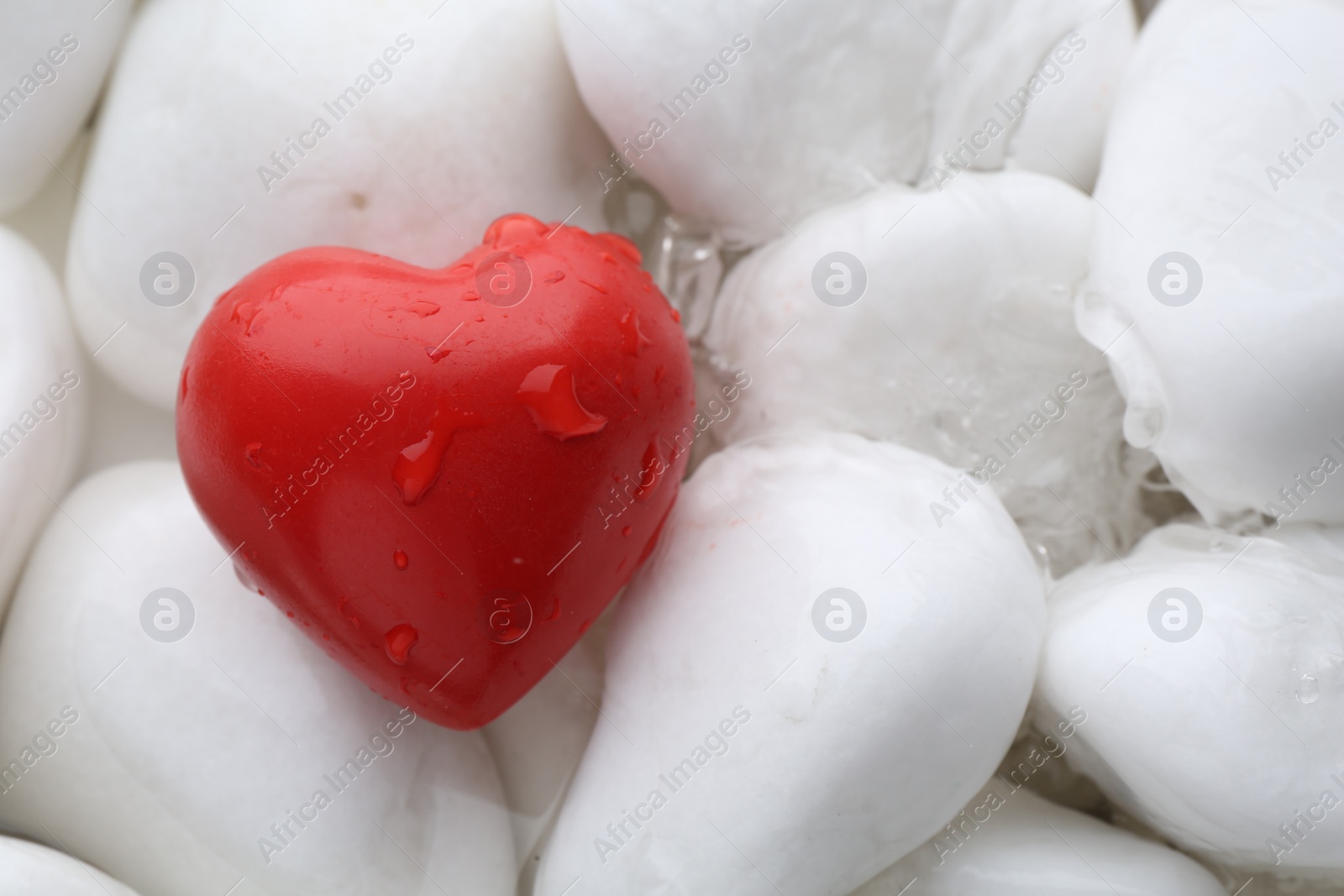 Photo of Red decorative heart on stones and water, top view. Space for text