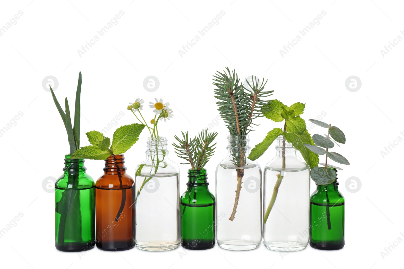 Photo of Glass bottles of different essential oils with plants on white background