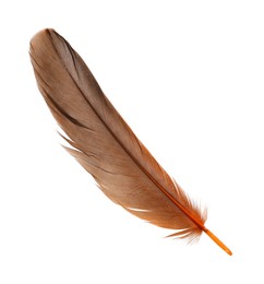 Photo of Beautiful orange bird feather isolated on white