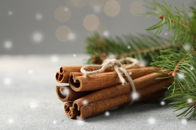 Image of Cinnamon and fire tree branches on grey table, closeup. Space for text