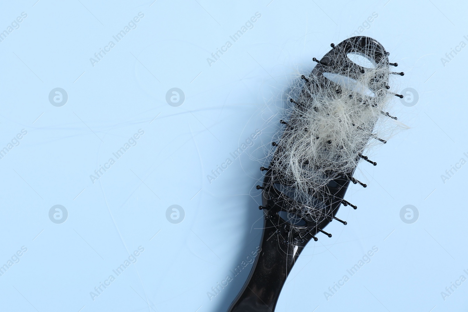 Photo of Brush with lost hair on light blue background, top view. Space for text