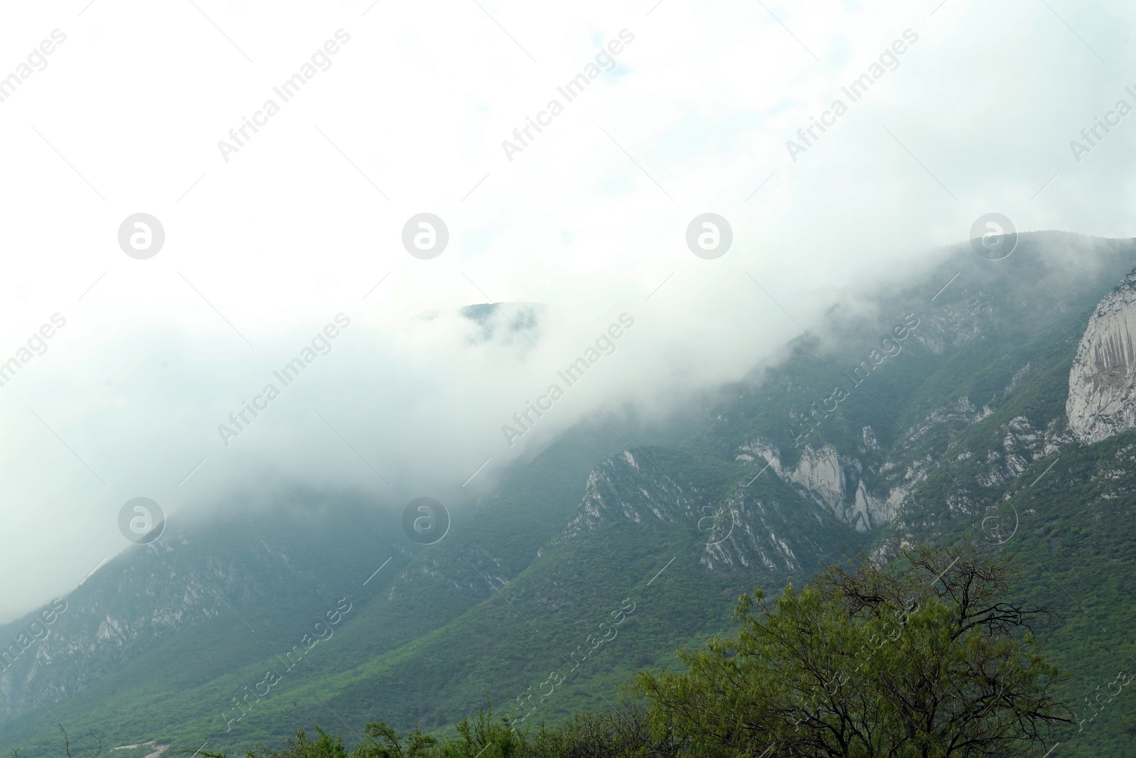 Photo of Majestic mountain landscape covered with greenery on cloudy day