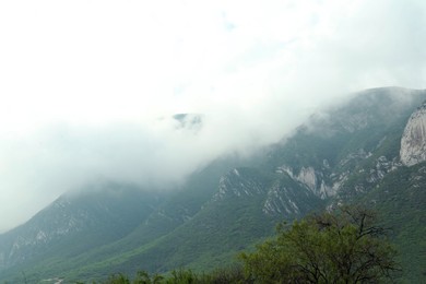 Photo of Majestic mountain landscape covered with greenery on cloudy day