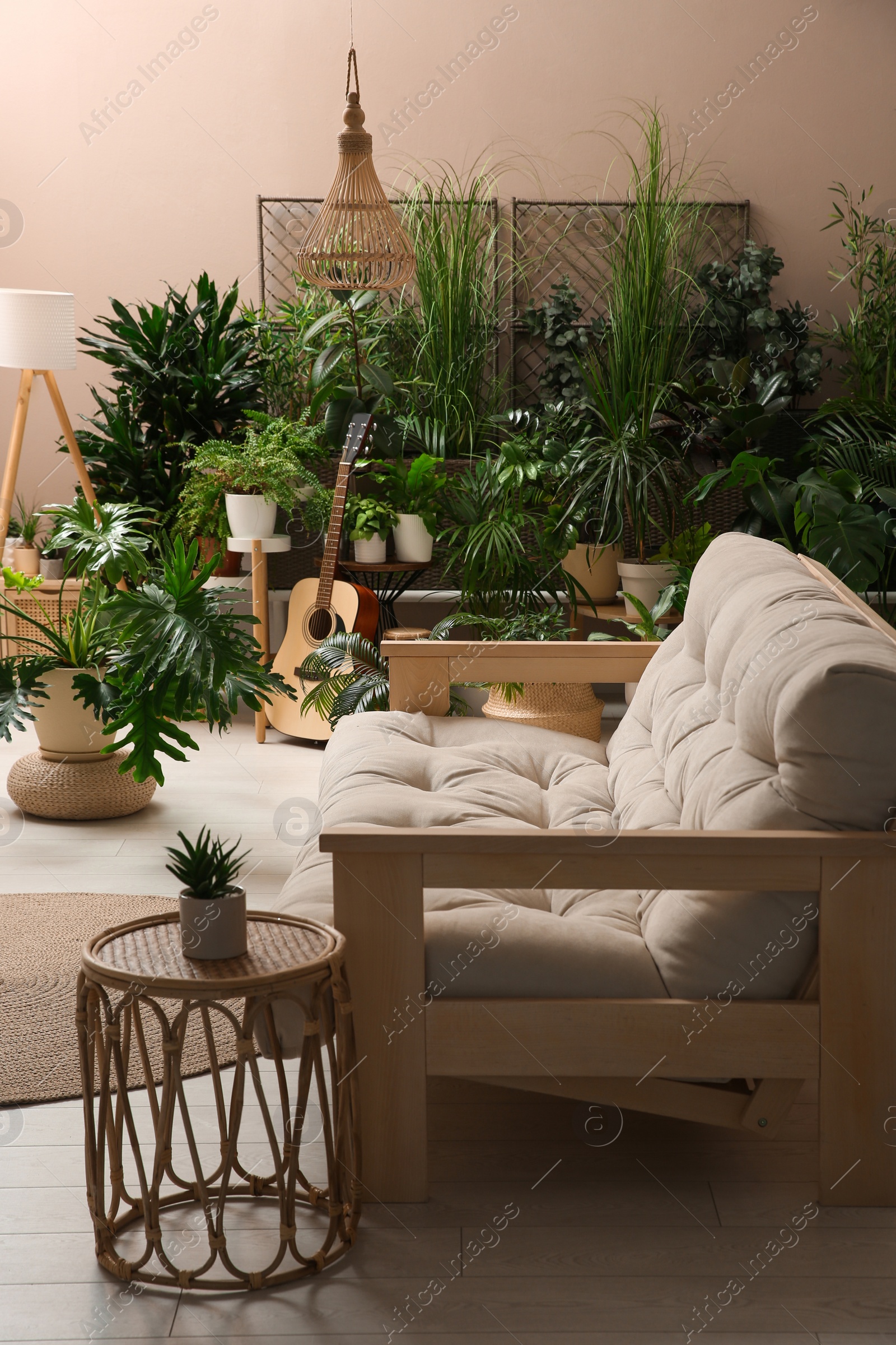 Photo of Living room interior with stylish furniture and different houseplants