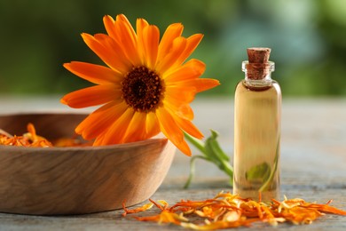 Photo of Bottle of essential oil and bowl with beautiful calendula flower on wooden table outdoors, closeup