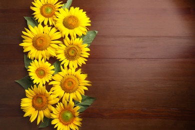 Beautiful bright sunflowers on wooden background, flat lay. Space for text