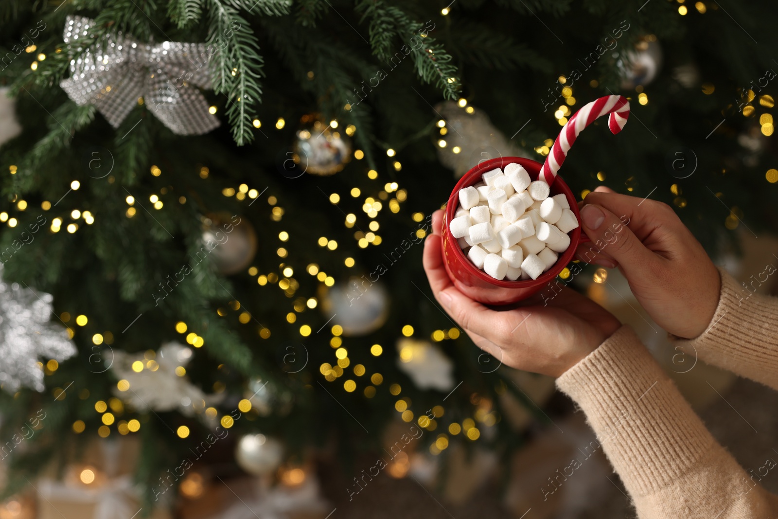 Photo of Woman holding cup of delicious Christmas cocoa with marshmallows and candy cane near fir tree, above view. Space for text