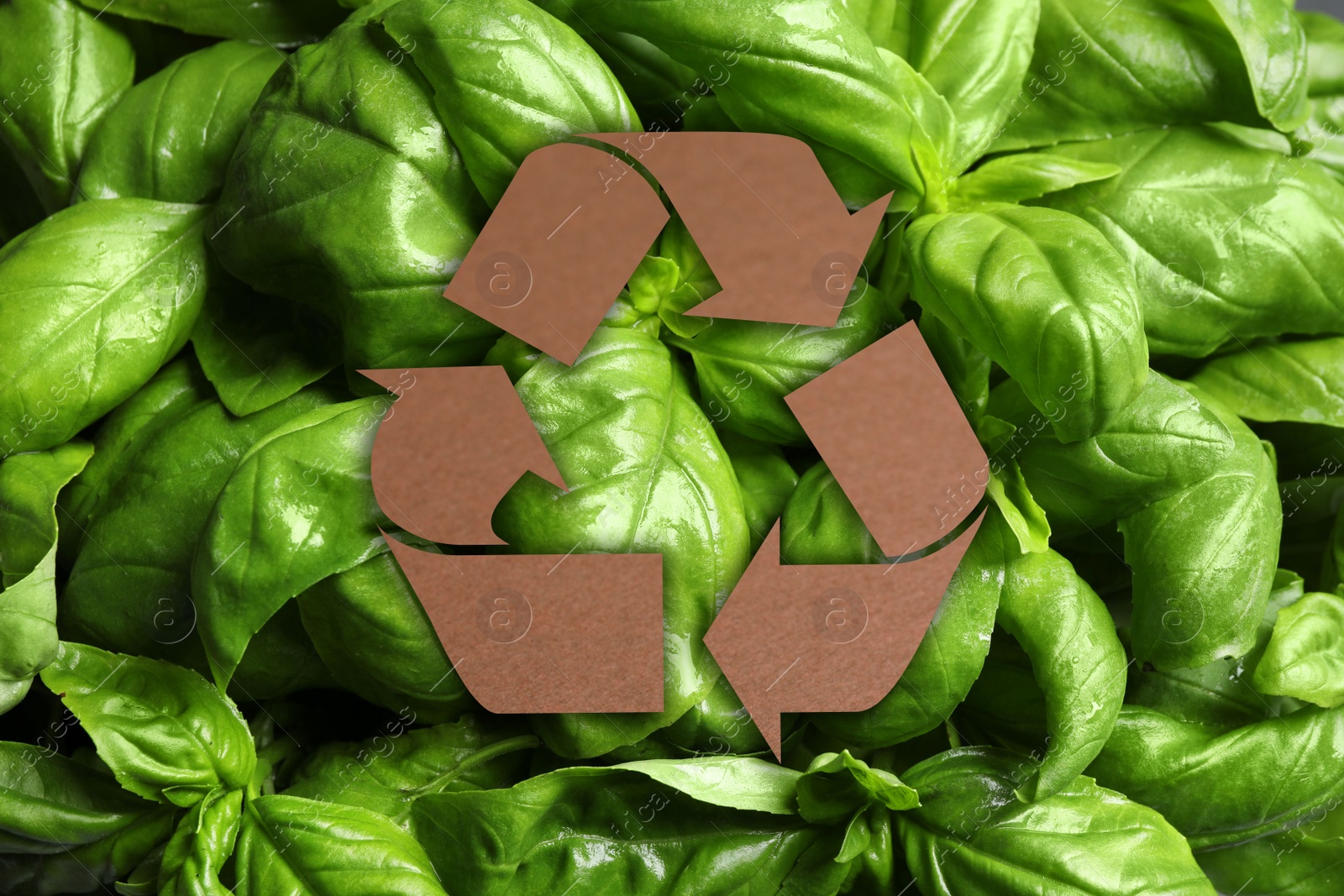 Image of Recycling symbol cut out of kraft paper and fresh green leaves on background