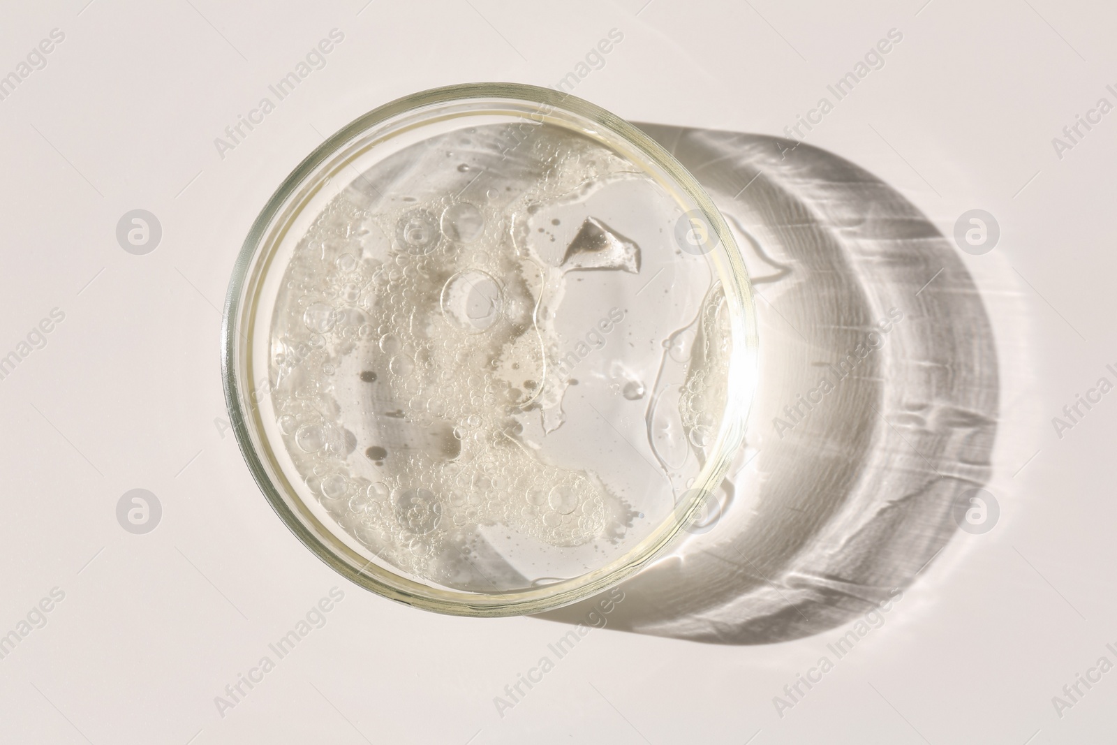 Photo of Petri dish with liquid sample on light background, top view