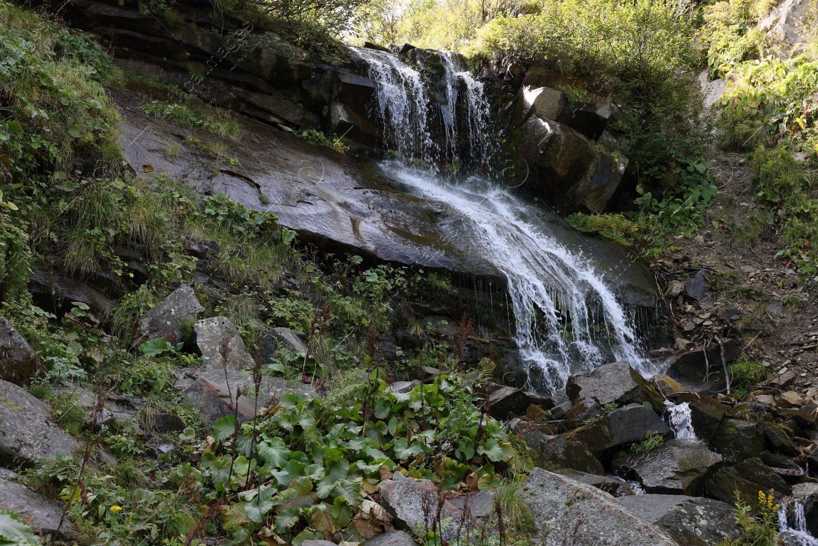 Photo of Picturesque view of mountain waterfall and green plants