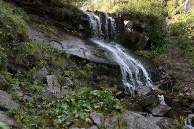 Picturesque view of mountain waterfall and green plants