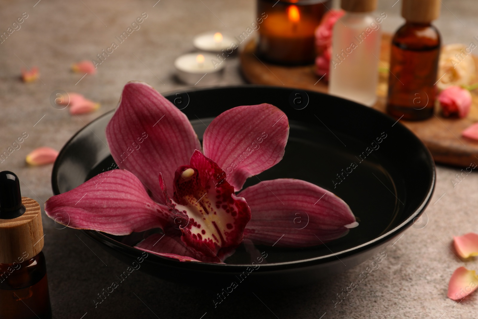 Photo of Bowl of essential oil and beautiful flower on grey table, closeup. Aromatherapy treatment