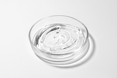 Photo of Petri dish with liquid on white background