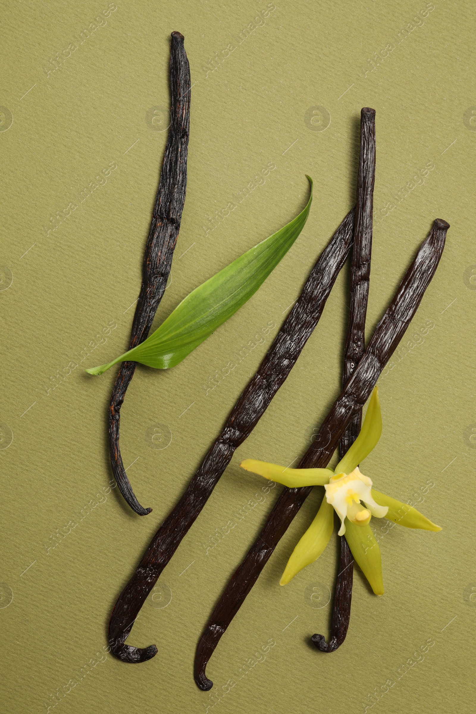 Photo of Vanilla pods, beautiful flower and green leaf on olive color background, top view