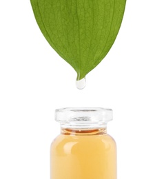 Photo of Essential oil drop falling from green leaf into glass bottle on white background, closeup