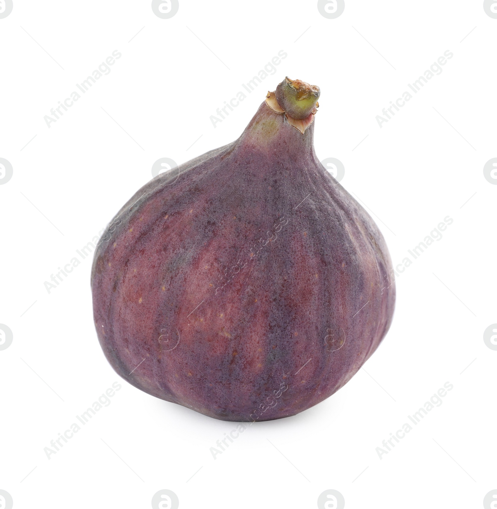 Photo of Whole tasty fresh fig isolated on white