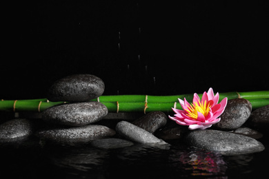Photo of Beautiful zen garden with lotus flower and pond on black background. Space for text