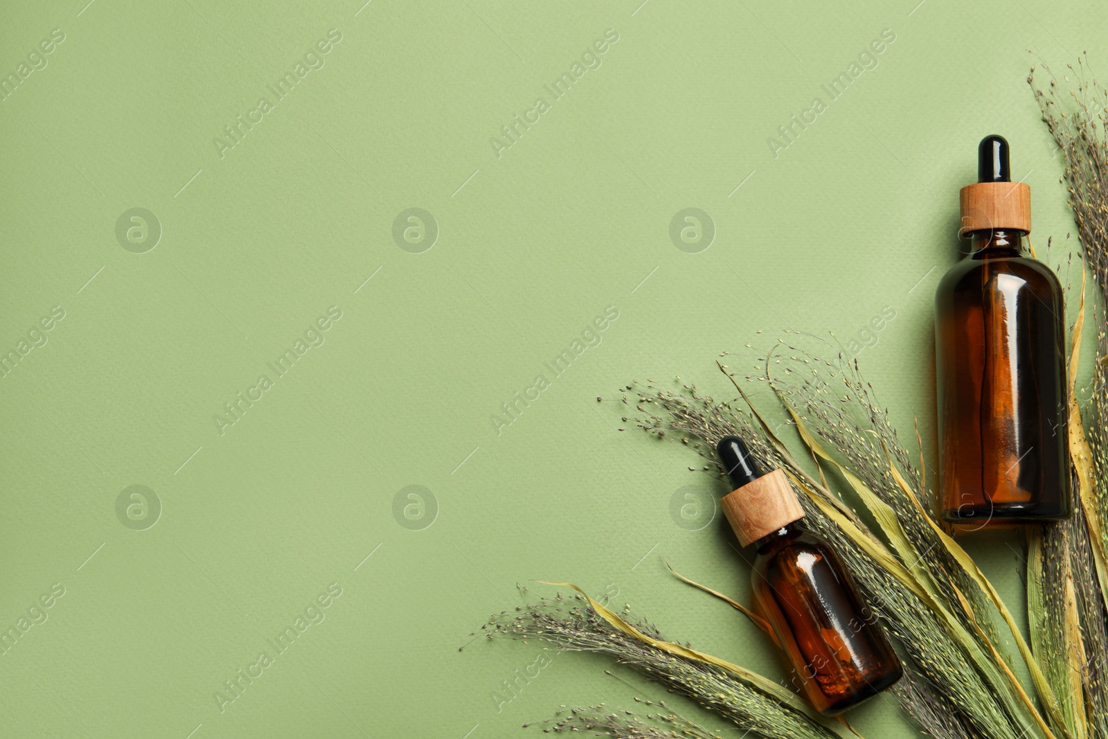 Photo of Bottles of face serum and dried flowers on light green background, flat lay. Space for text